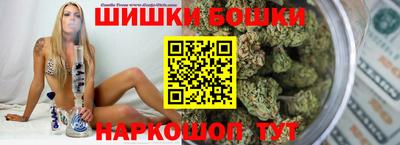 гидра Заводоуковск