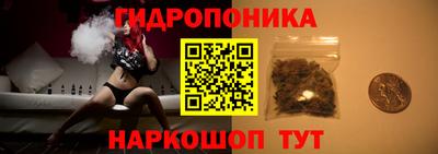 гидра Заводоуковск