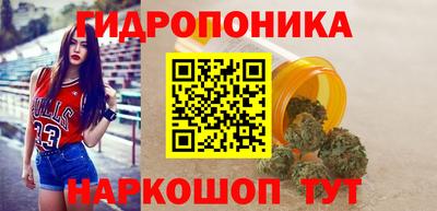 гидра Заводоуковск