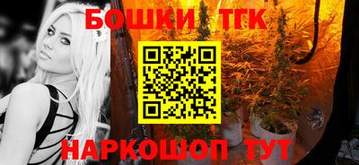 гидра Заводоуковск