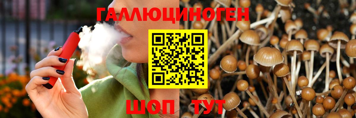 Псилоцибиновые грибы MAGIC MUSHROOMS Магадан